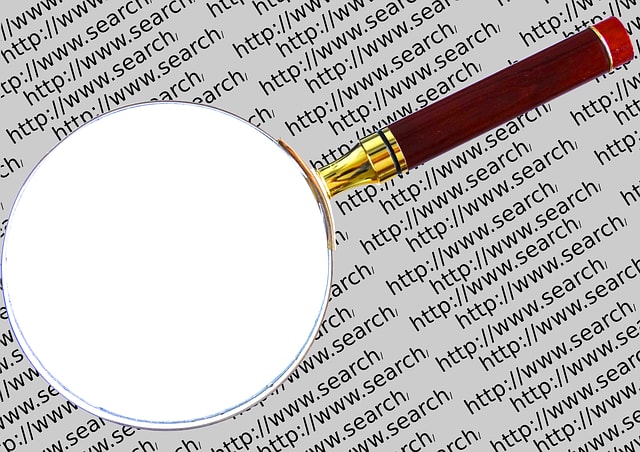 search engine, seek, network search, magnifying glass, research, worldwide, google, magnification, find, www, internet, search engine, search engine, search engine, search engine, search engine