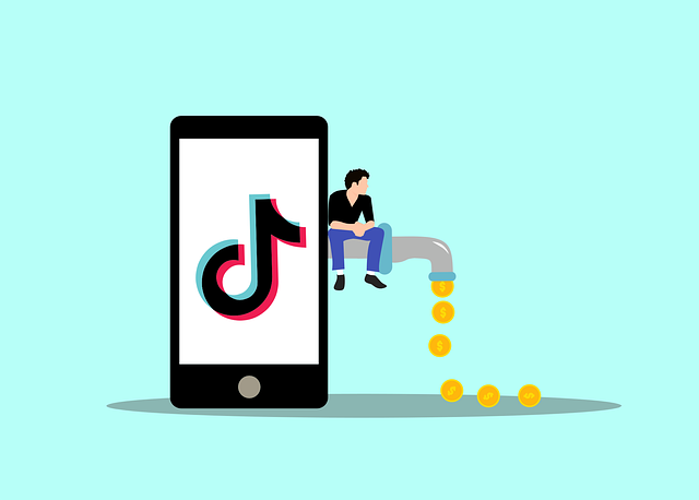 monetization, subscription, earning, money, online, entertainment, business, fees, software, advertising, digital marketing, media, profit, channel, video streaming, marketing, cartoon, tiktok, social media, influencer, digital marketing, tiktok, tiktok, tiktok, tiktok, tiktok, influencer, influencer